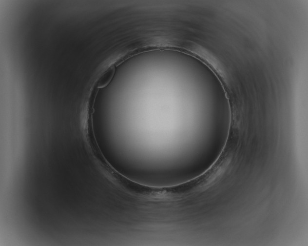 X0000100940437200806241431