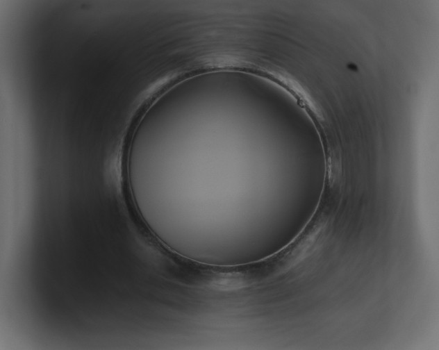 X0000100940438200806241431