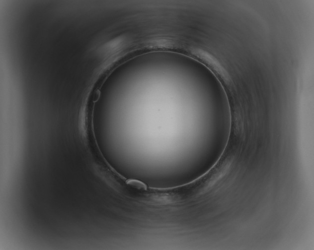X0000100940439200806241431
