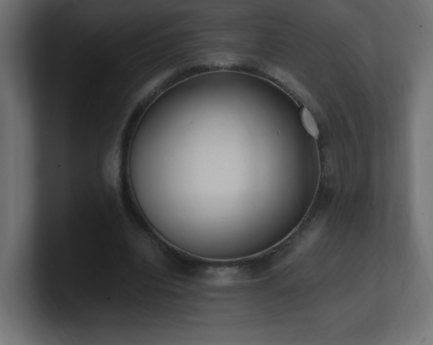 X0000100940440200806241431
