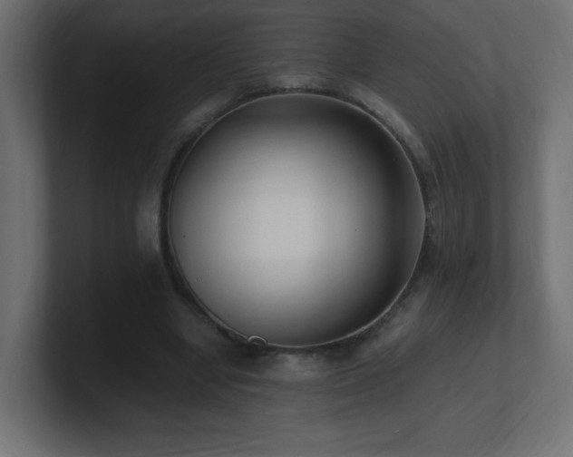 X0000100940442200806241431