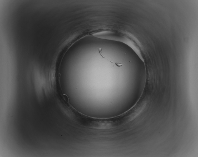 X0000100940443200806241431