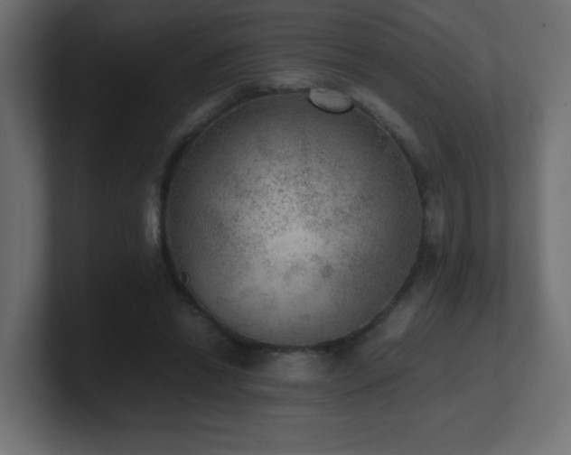 X0000100940446200806241431