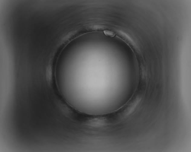 X0000100940447200806241431