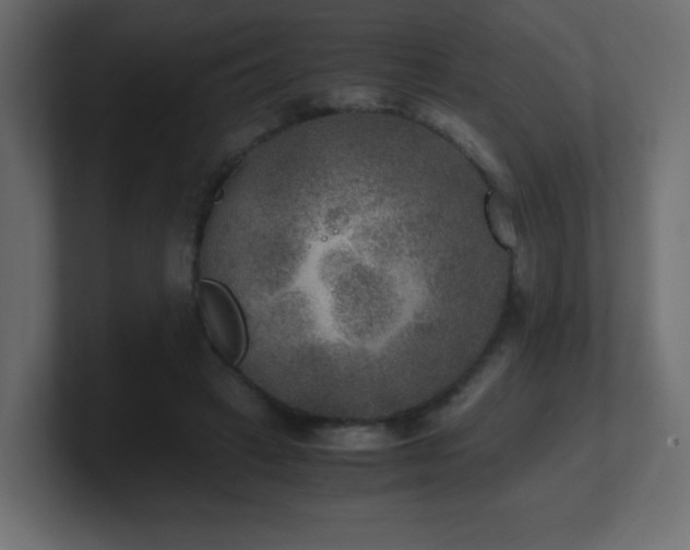 X0000100940449200806241431
