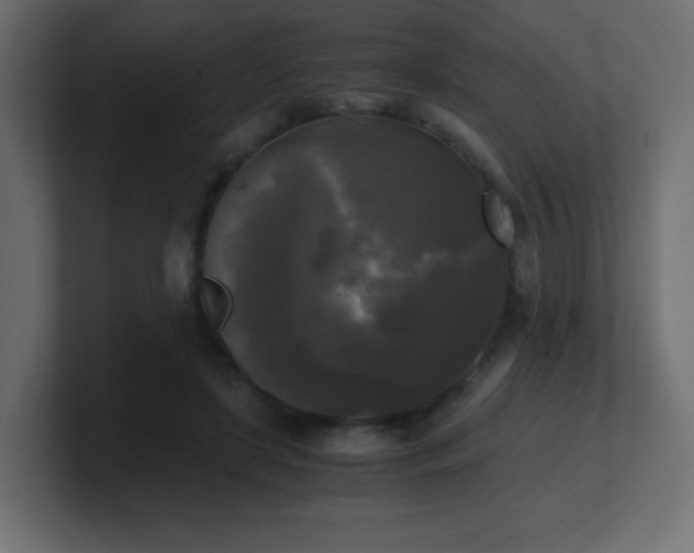 X0000100940451200806241431