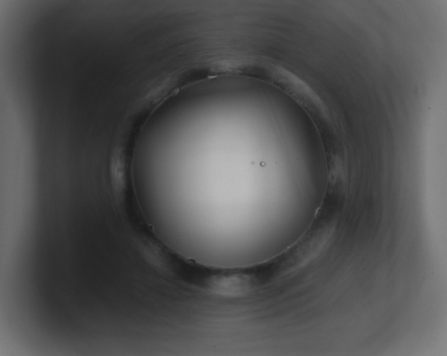 X0000100940452200806241431