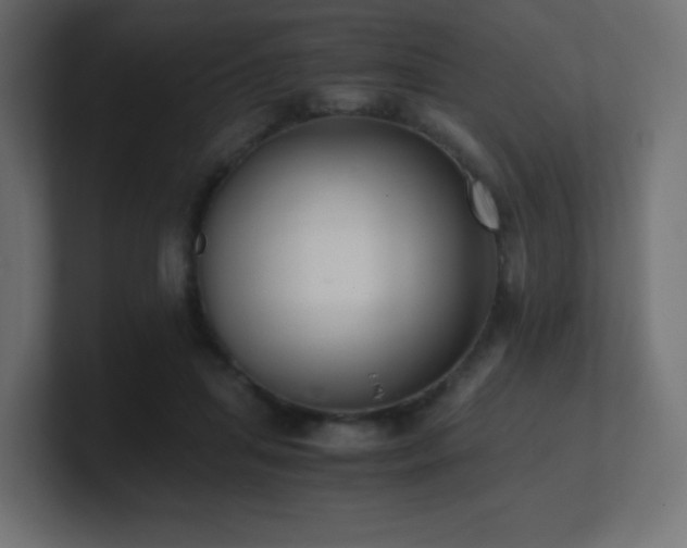 X0000100940455200806241431