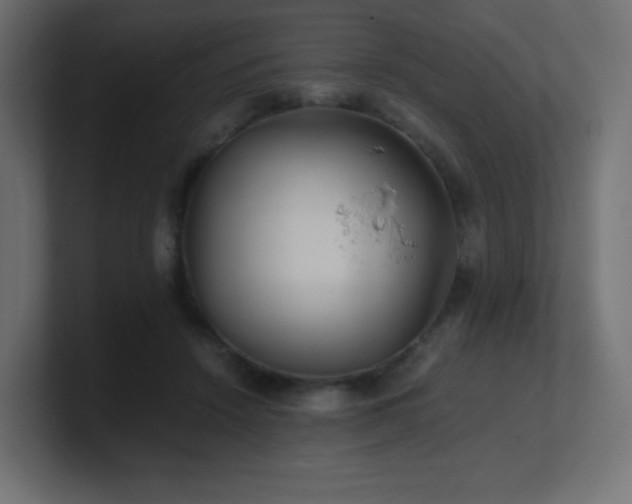 X0000100940456200806241431