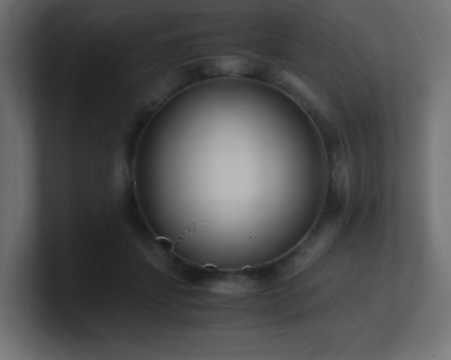 X0000100940459200806241431