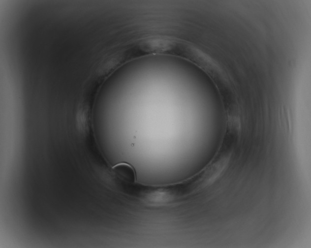 X0000100940460200806241431