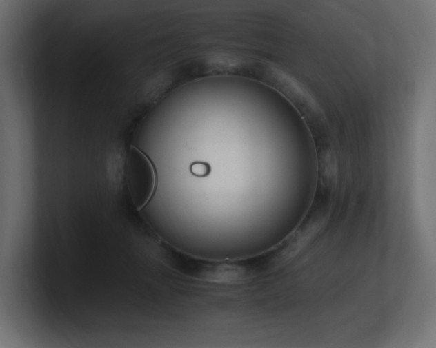 X0000100940463200806241431