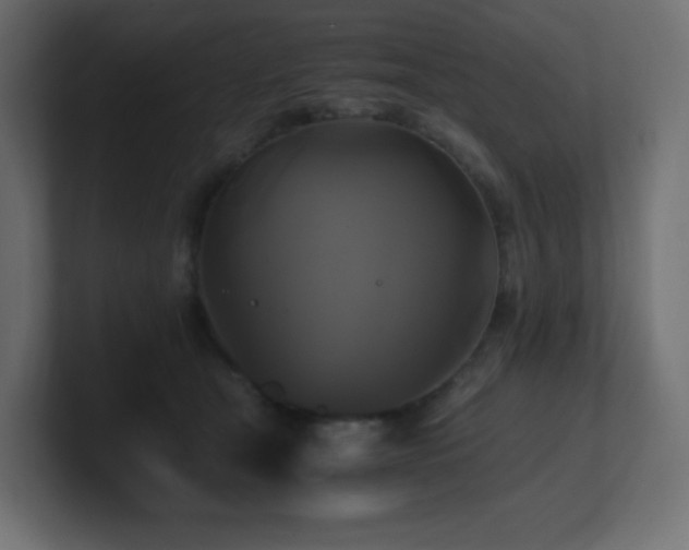 X0000100940465200806241431