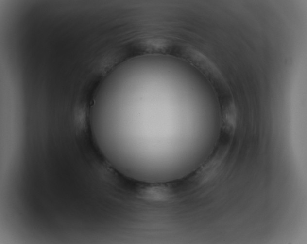 X0000100940468200806241431
