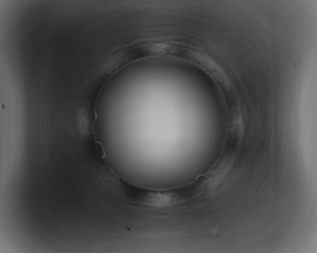 X0000100940469200806241431