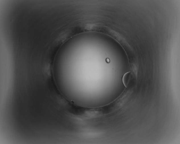 X0000100940470200806241431