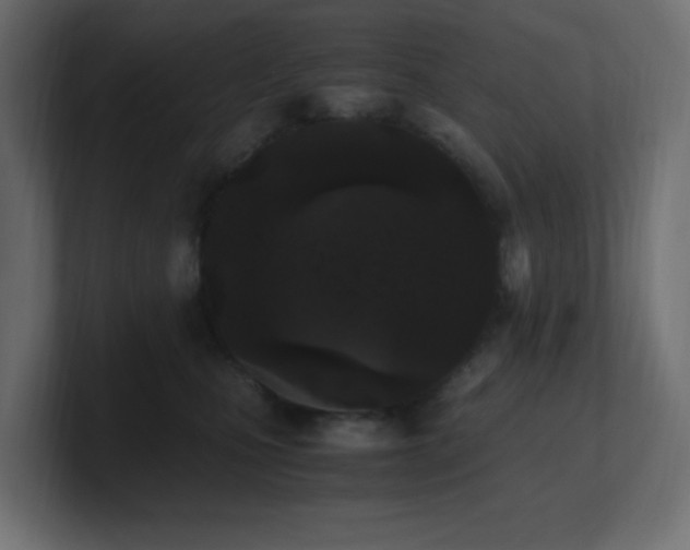 X0000100940471200806241431
