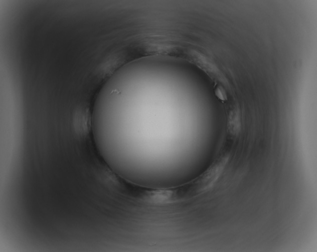 X0000100940474200806241431