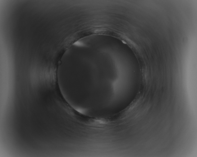 X0000100940475200806241431