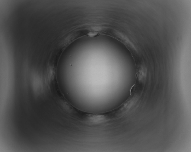 X0000100940476200806241431