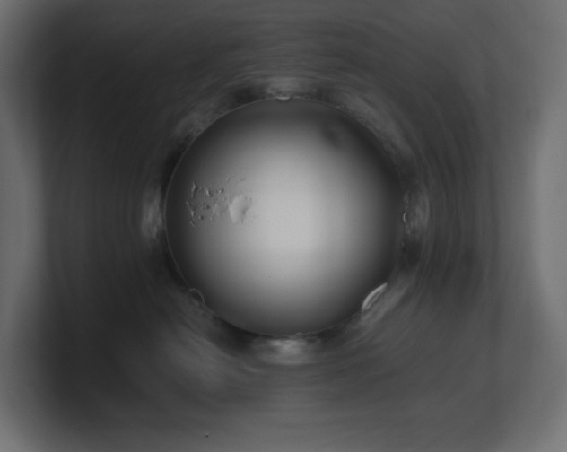 X0000100940478200806241431
