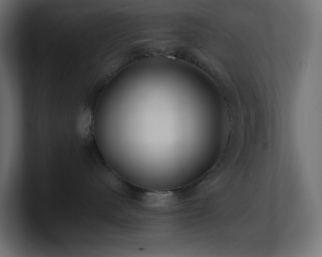 X0000100940480200806241431