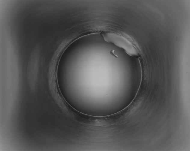 X0000100940481200806241431