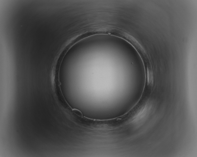 X0000100940483200806241431