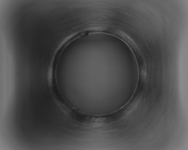 X0000100940484200806241431