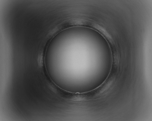 X0000100940489200806241430