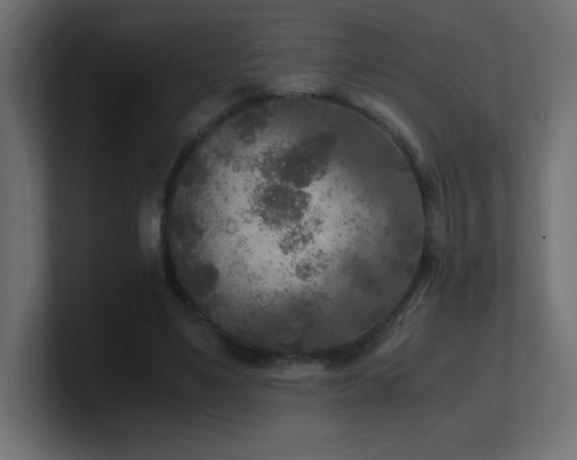 X0000100940491200806241430