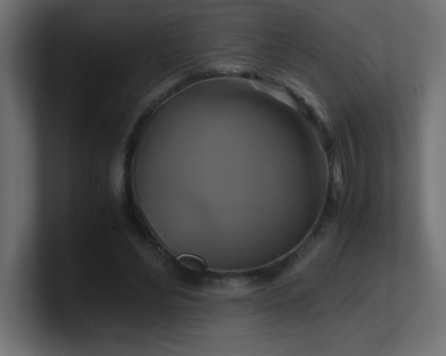 X0000100940492200806241430