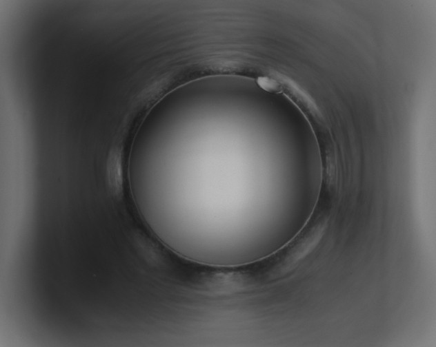 X0000100940493200806241430