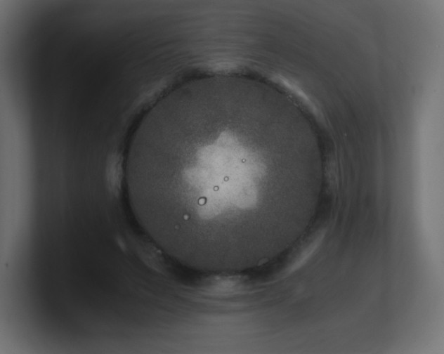 X0000100940495200806241430