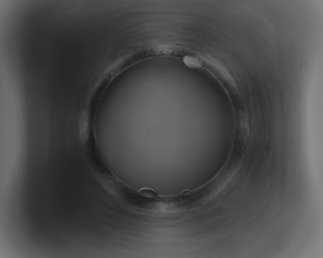 X0000100940496200806241430