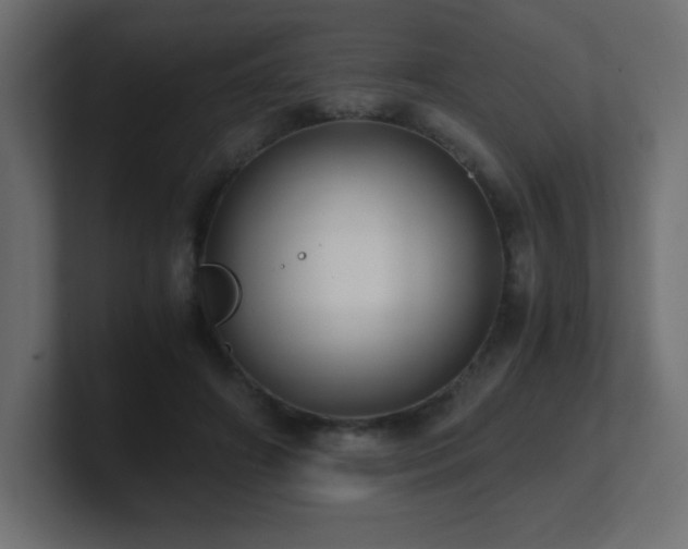 X0000100940498200806241430