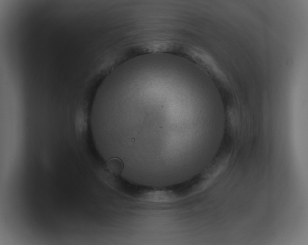 X0000100940499200806241430