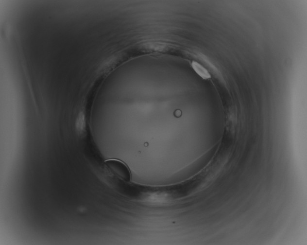 X0000100940500200806241430