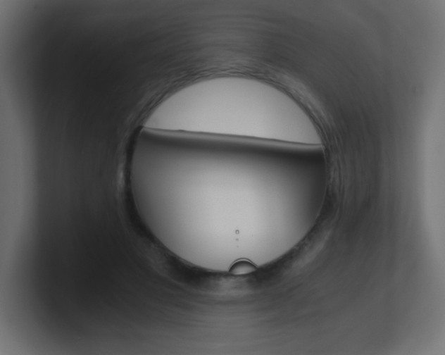 X0000100940501200806241430