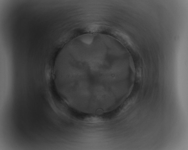 X0000100940503200806241430