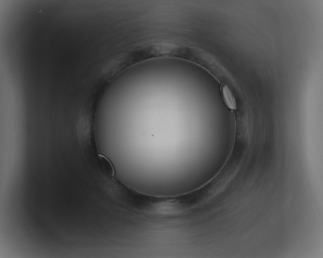 X0000100940505200806241430
