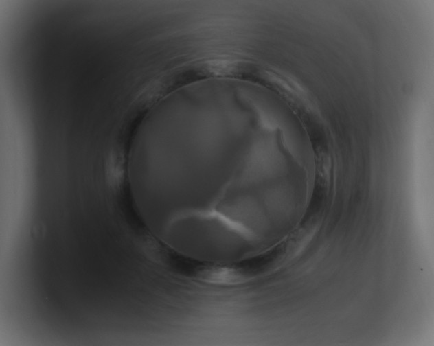 X0000100940507200806241430