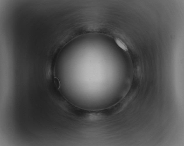 X0000100940508200806241430