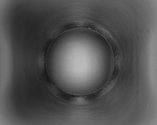 X0000100940509200806241430