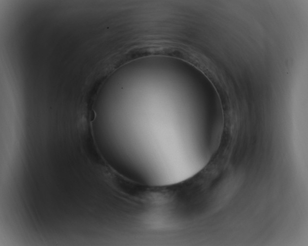 X0000100940510200806241430
