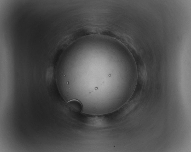 X0000100940511200806241430