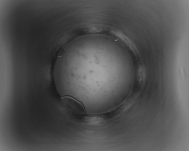 X0000100940512200806241430