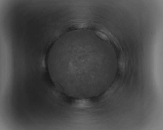 X0000100940516200806241430