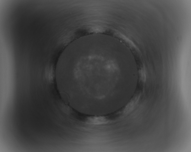 X0000100940517200806241430