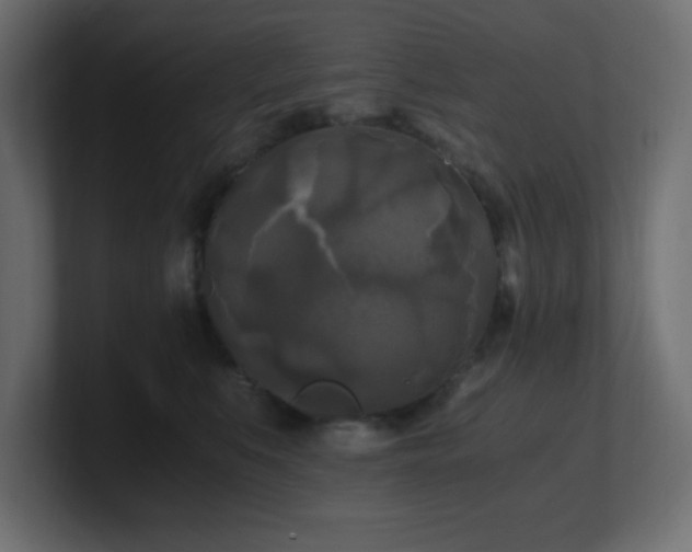 X0000100940519200806241430